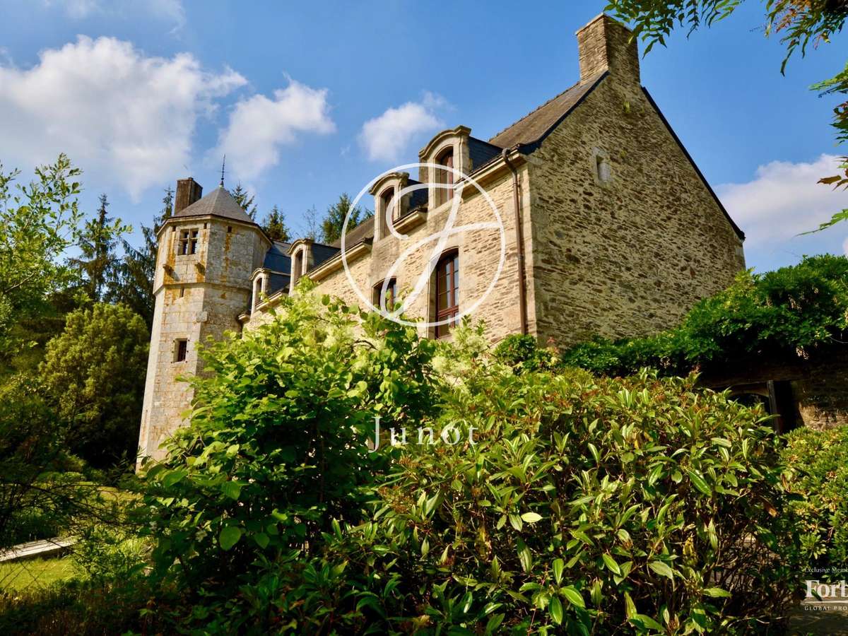 Manor Camors