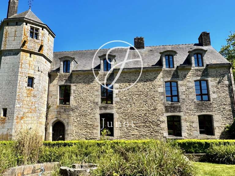 Manor Camors - 8 bedrooms - 1172117m²