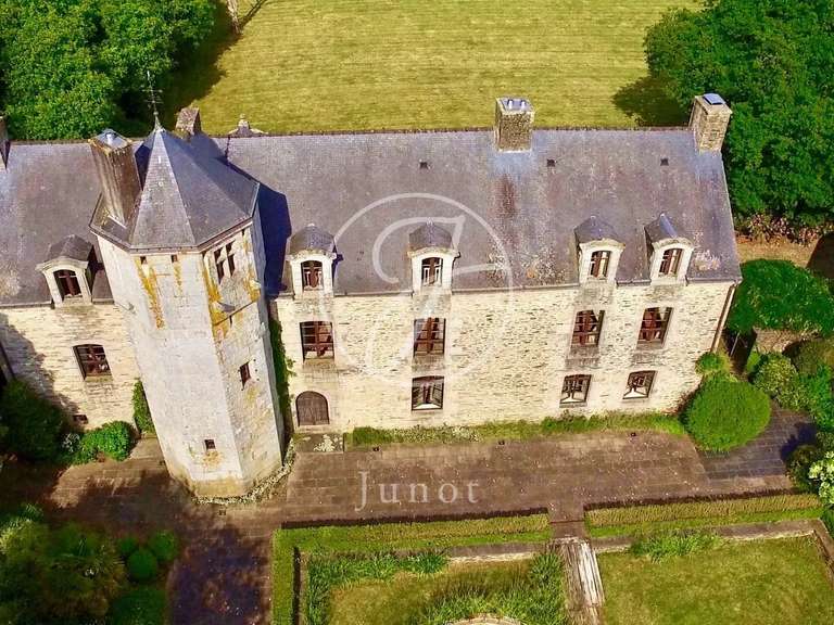 Manoir Camors - 8 chambres - 1172117m²