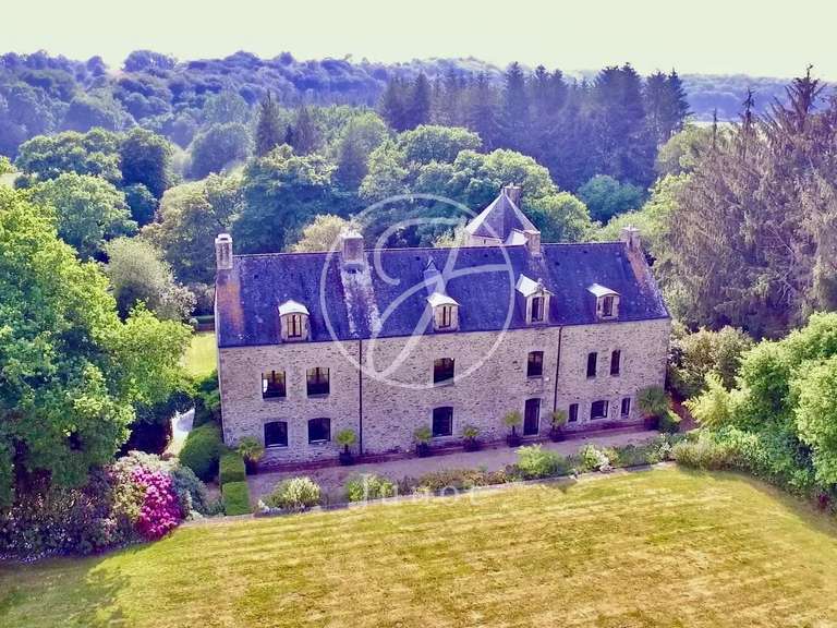 Manoir Camors - 8 chambres - 1172117m²
