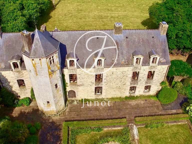 Manor Camors - 8 bedrooms - 1172117m²