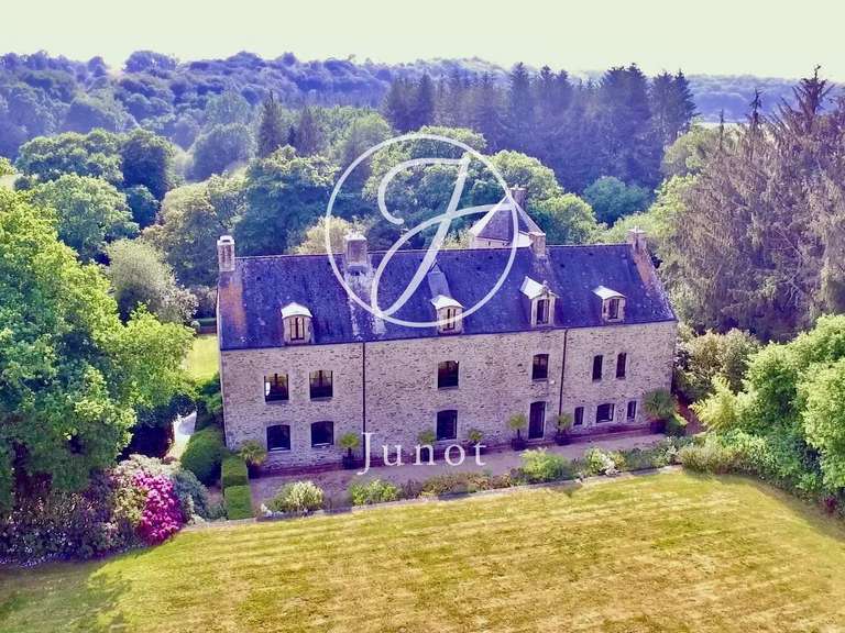 Manor Camors - 8 bedrooms - 1172117m²