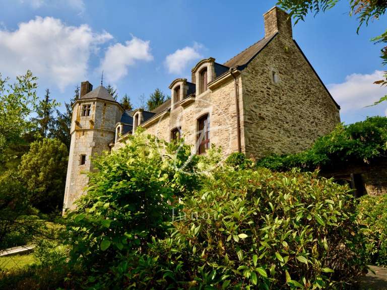 Manoir Camors - 8 chambres - 1172117m²