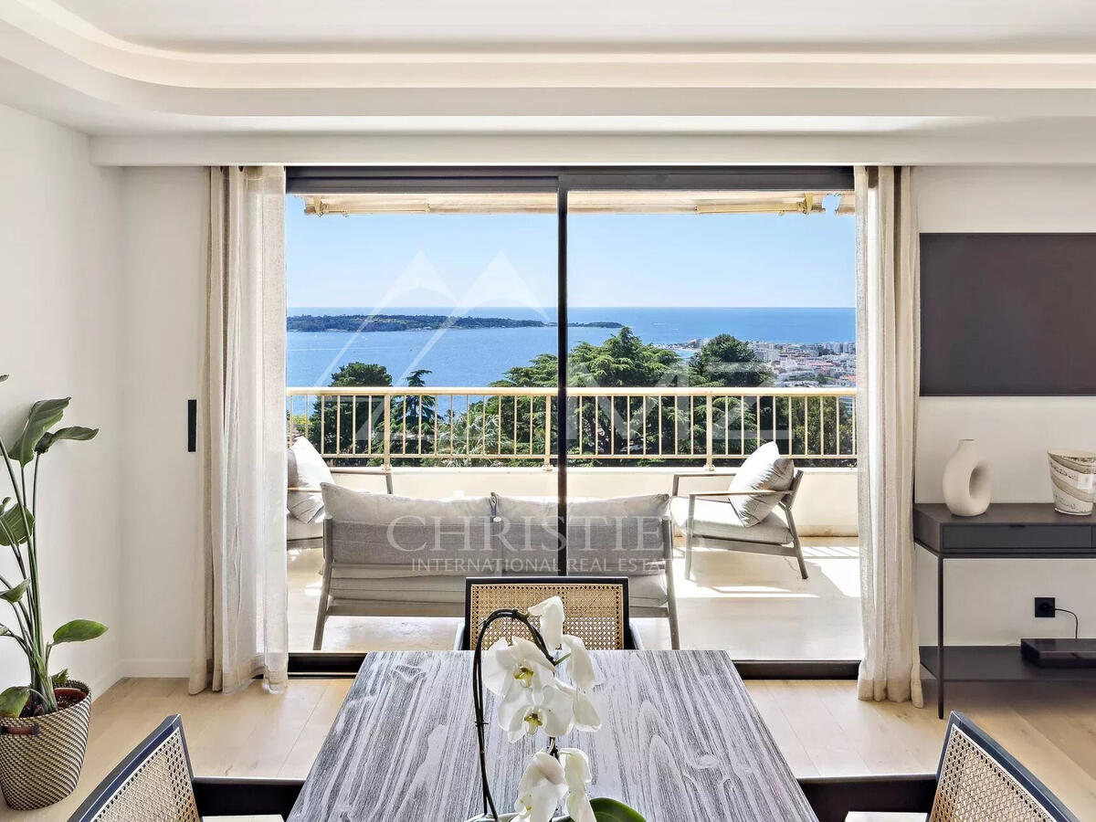 Apartment Cannes