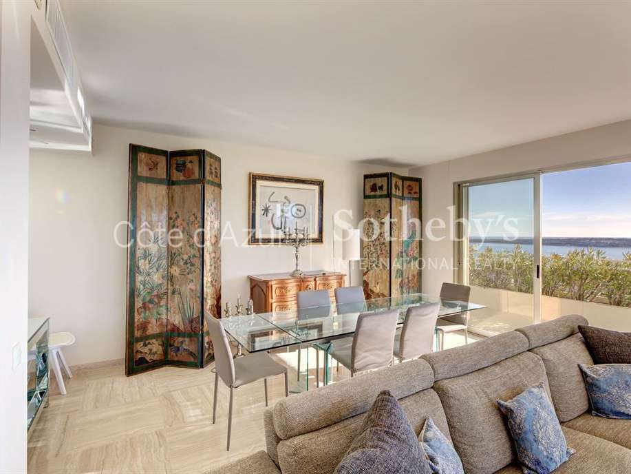 Apartment Cannes