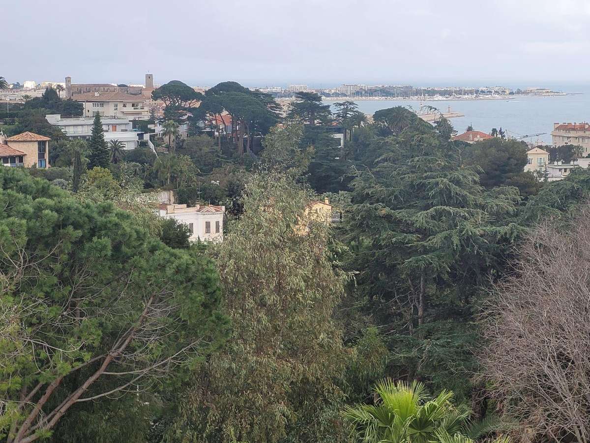 Appartement Cannes