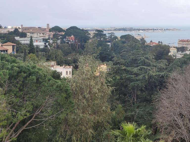 Appartement Cannes - 62m²
