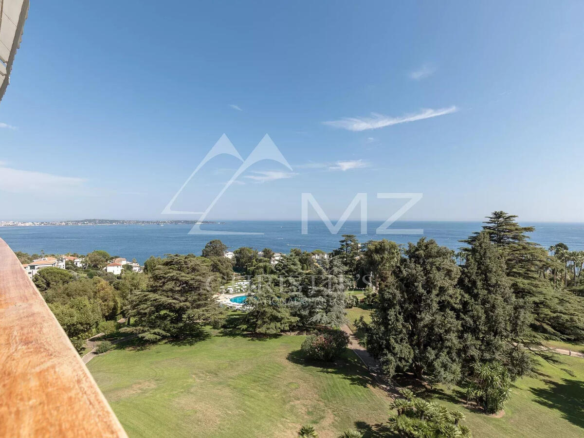 Apartment Cannes