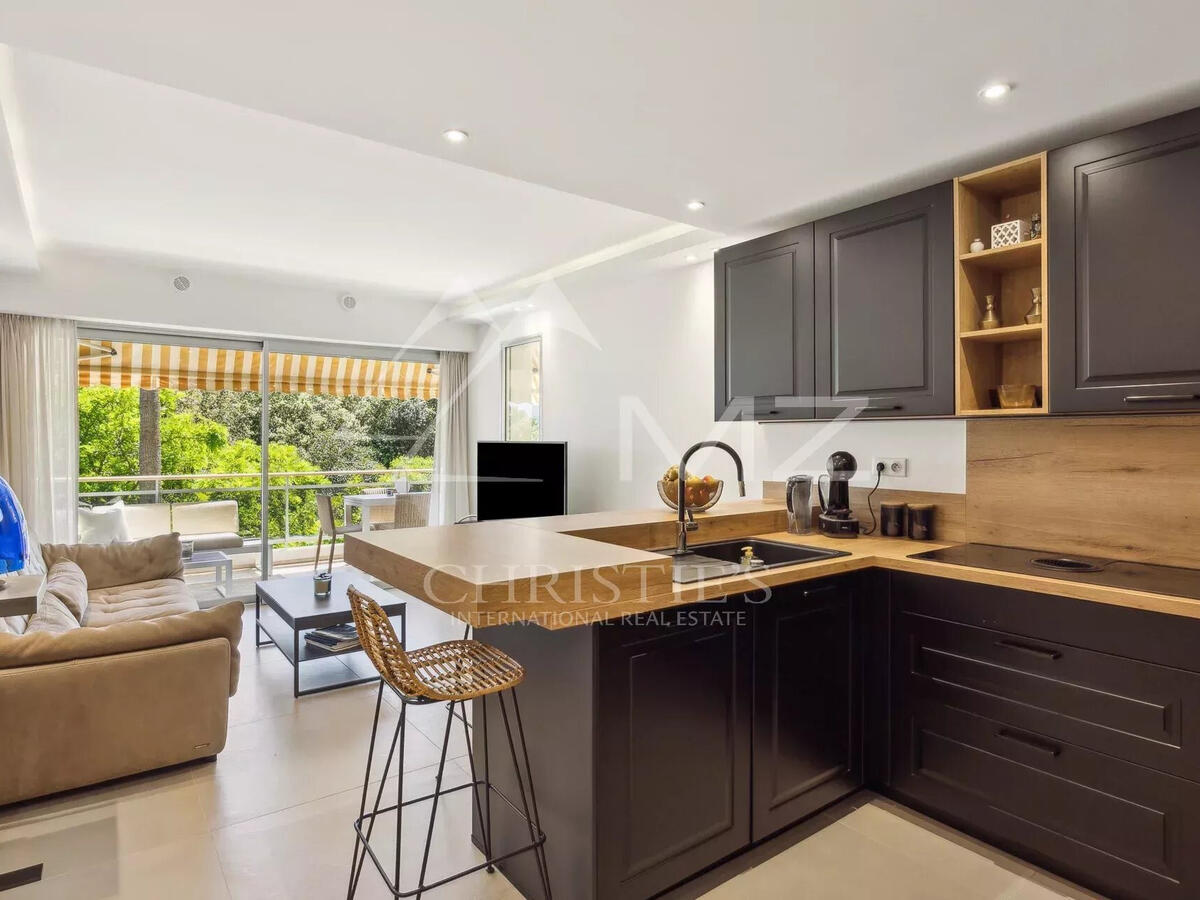 Apartment Cannes