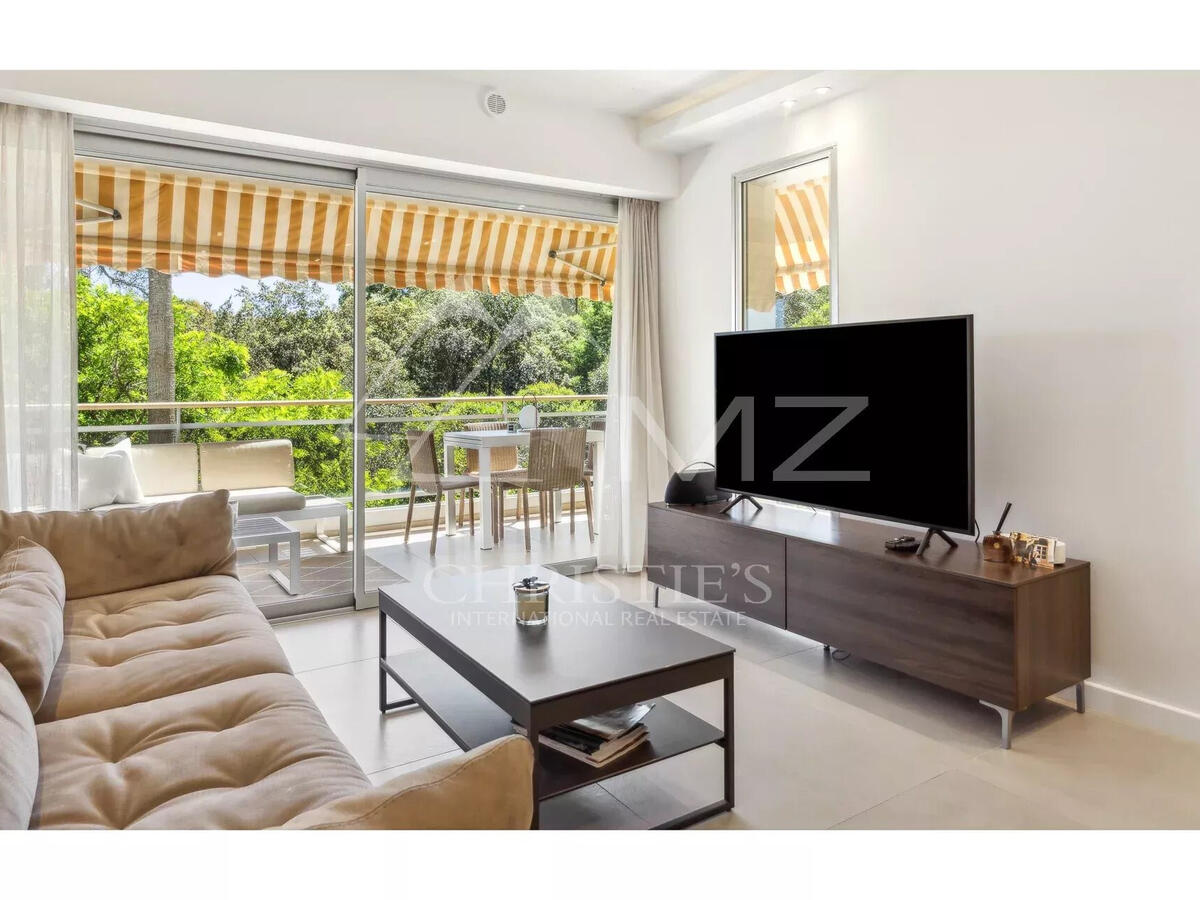 Apartment Cannes