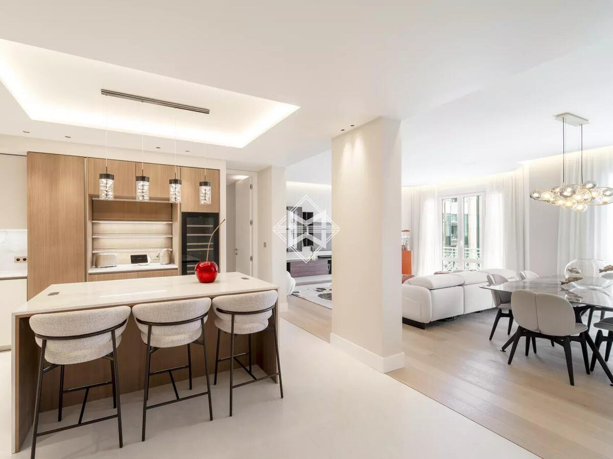 Apartment Cannes