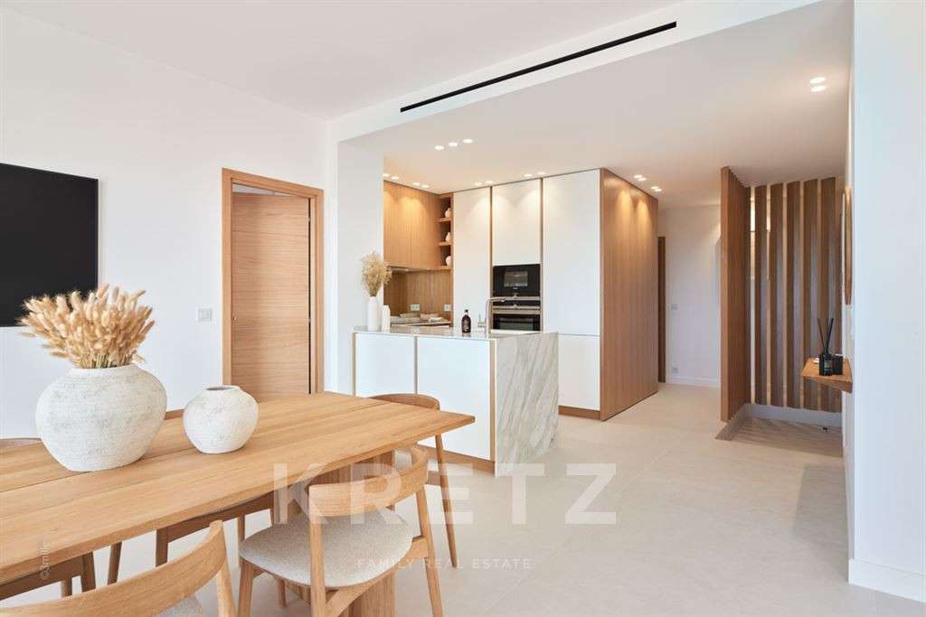 Apartment Cannes