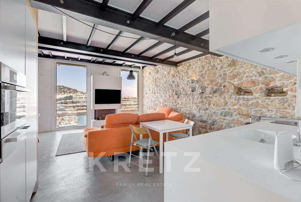 Apartment Cannes