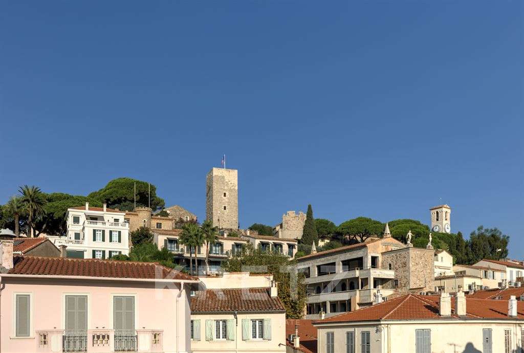 Apartment Cannes