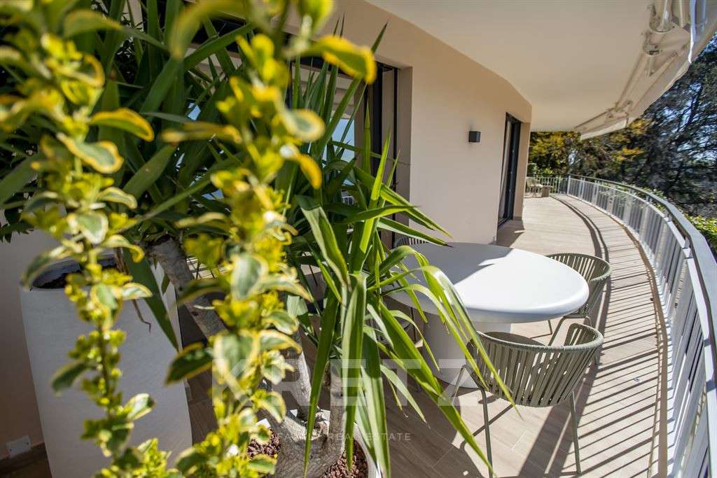 Apartment Cannes
