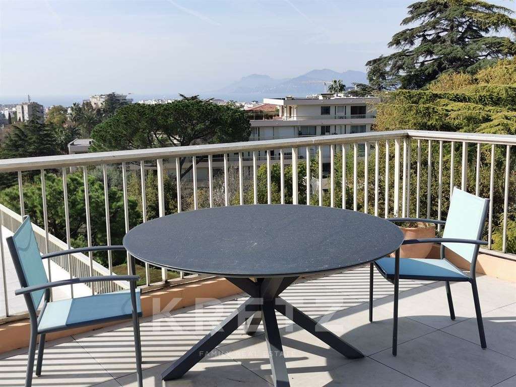 Apartment Cannes