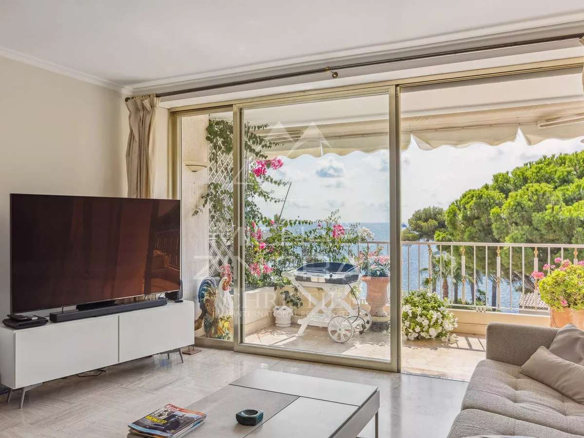 Apartment Cannes