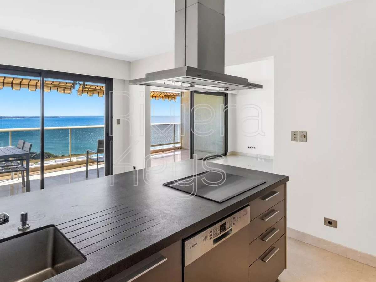 Apartment Cannes