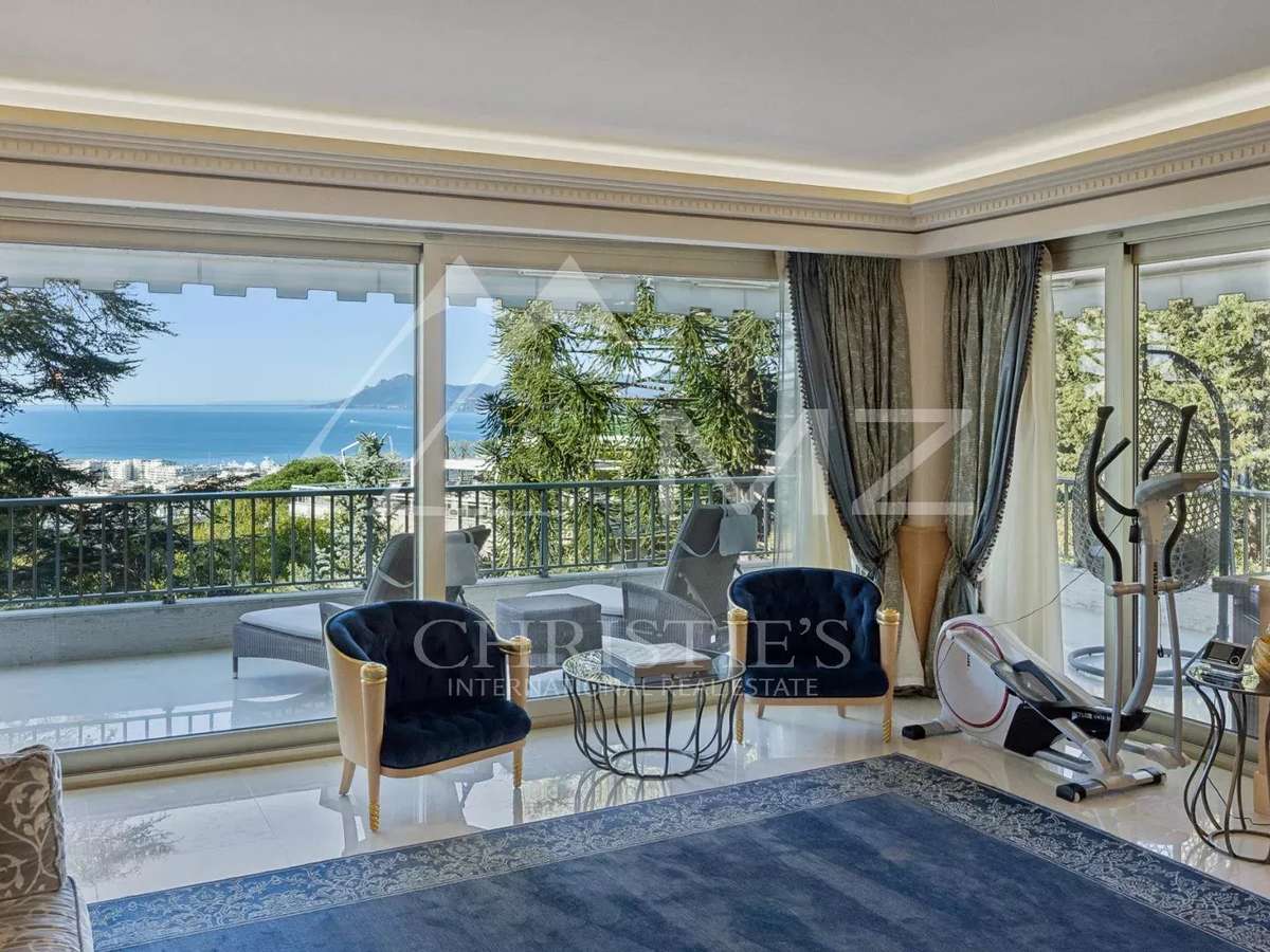 Apartment Cannes