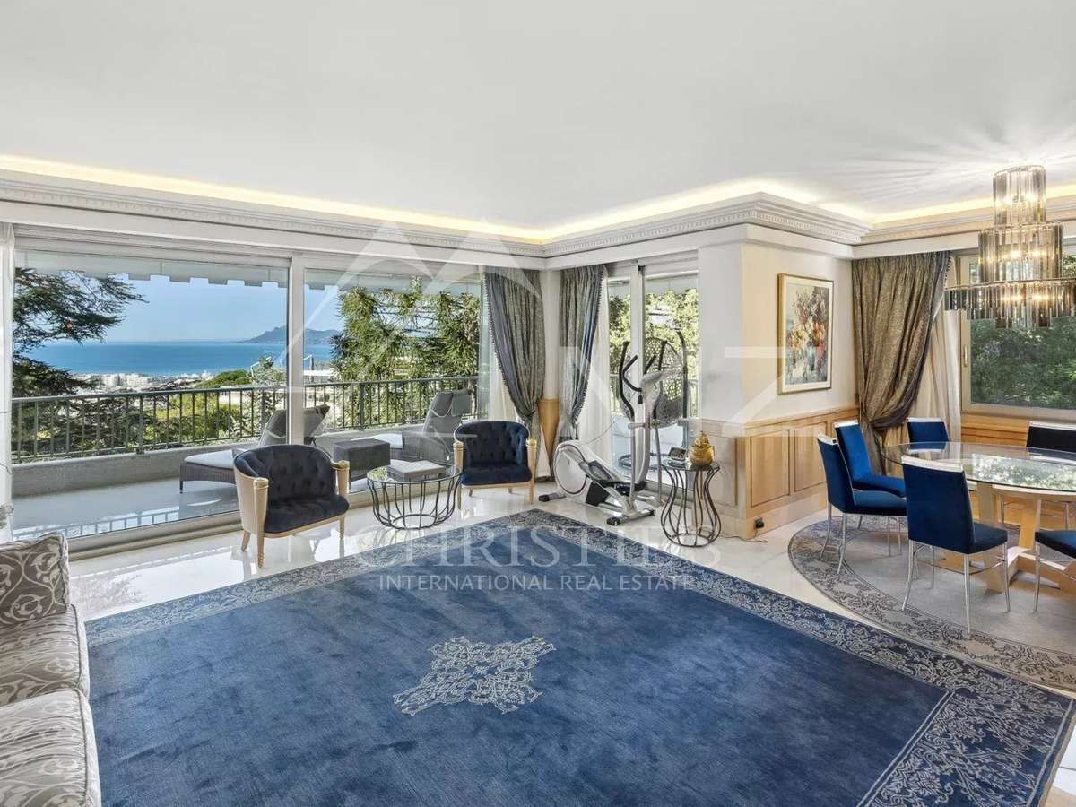 Apartment Cannes