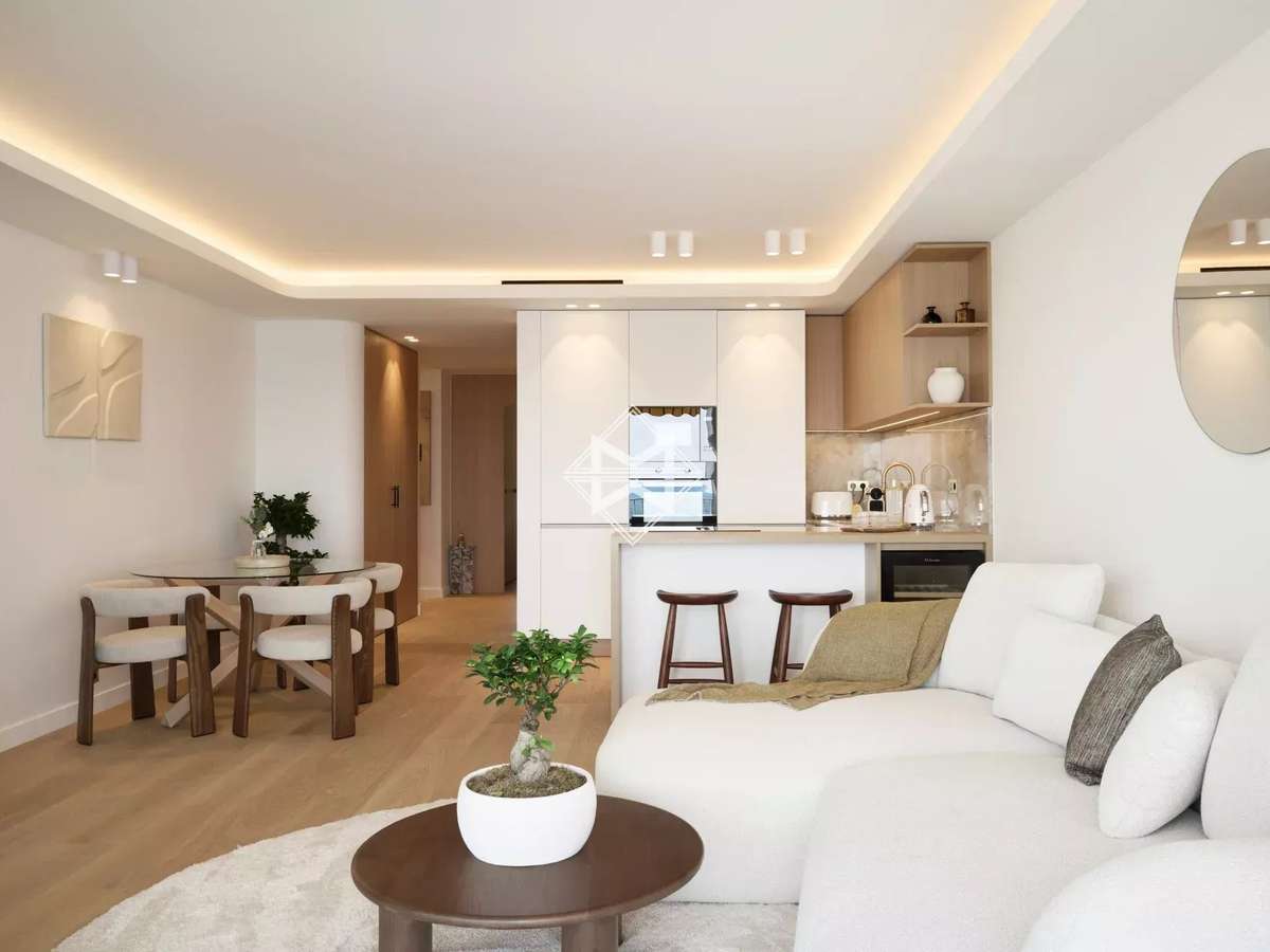 Apartment Cannes