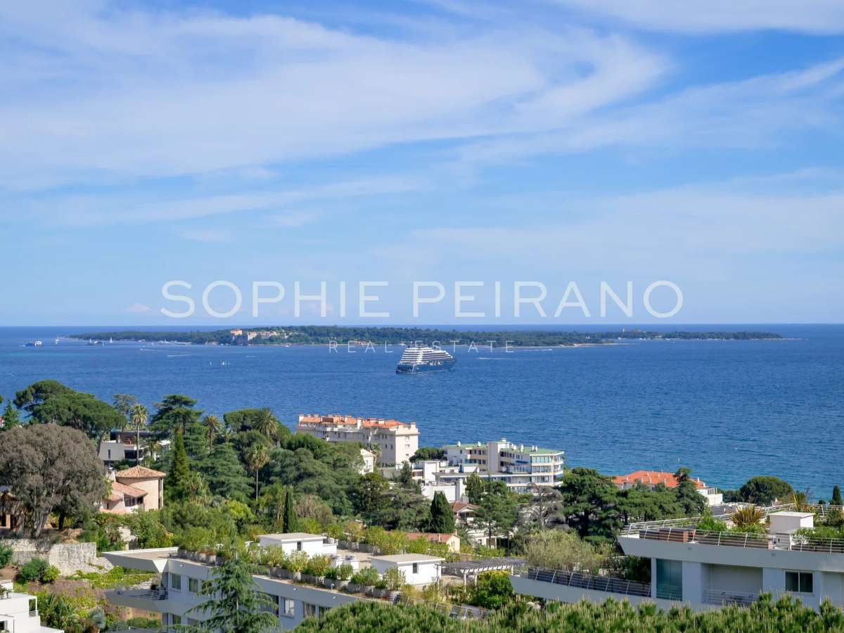 Apartment Cannes