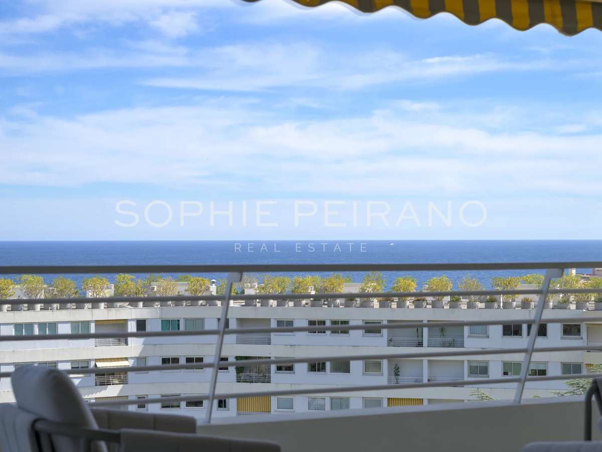 Apartment Cannes