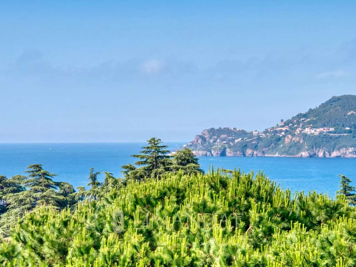 Appartement Cannes