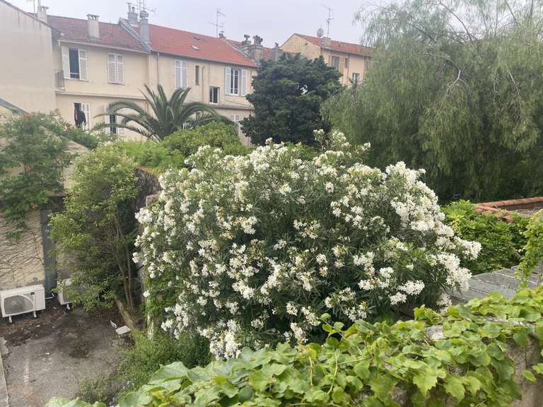Appartement Cannes - 3 chambres - 110m²