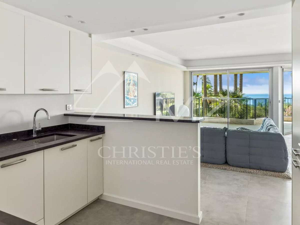Apartment Cannes