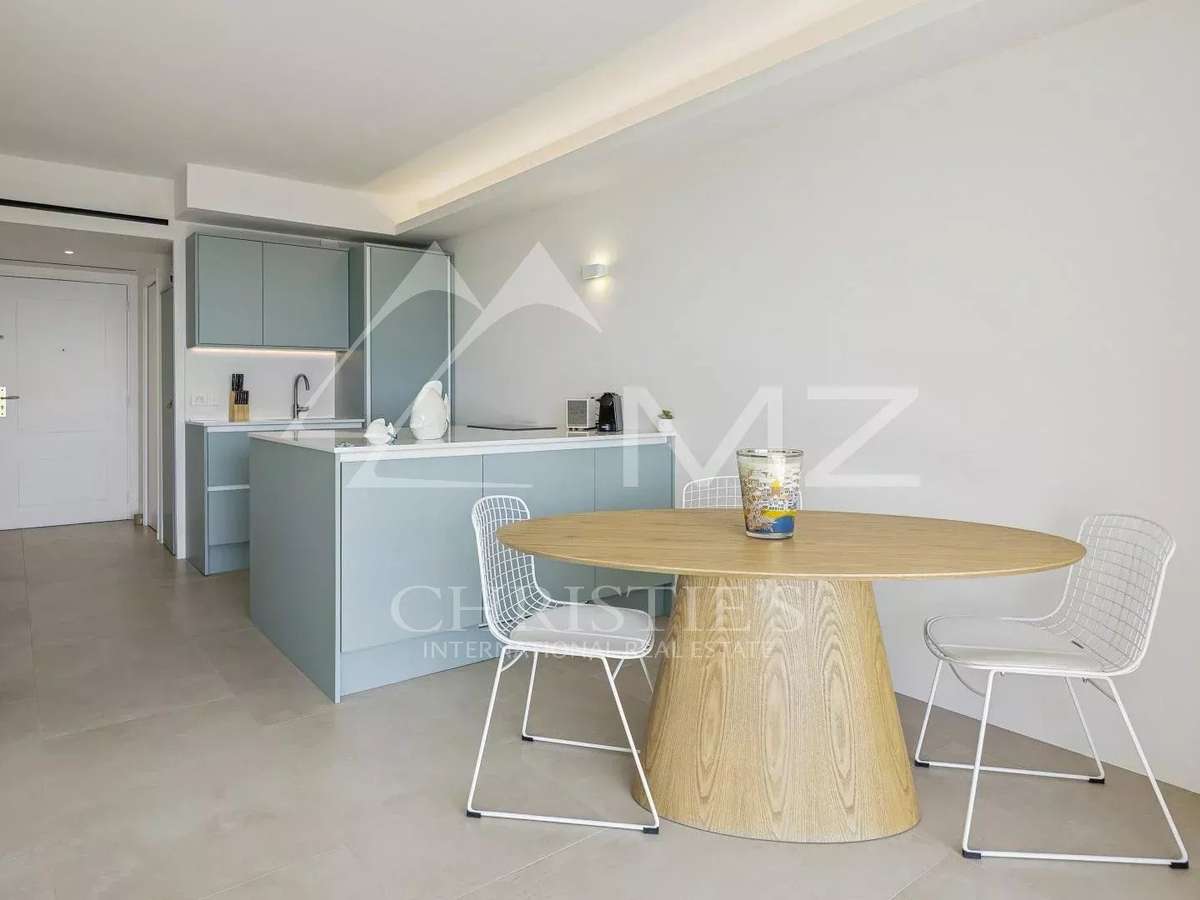 Apartment Cannes
