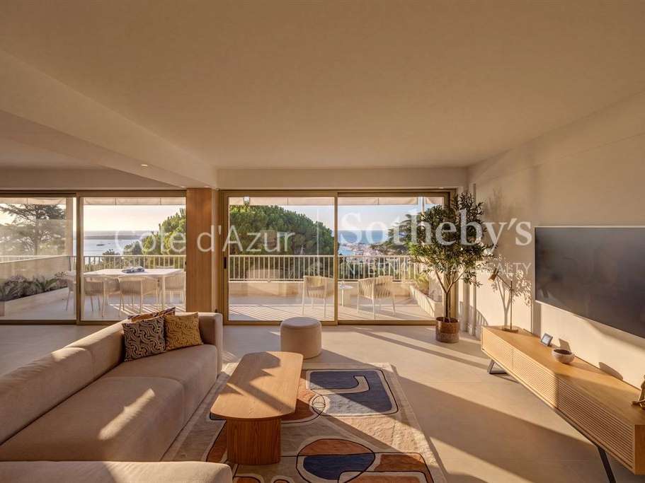 Apartment Cannes