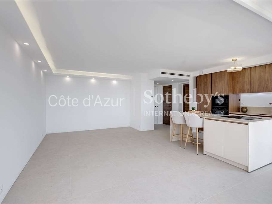 Apartment Cannes