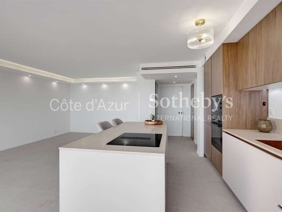 Apartment Cannes