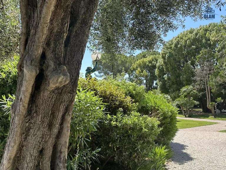 Appartement avec Vue sur mer Cannes - 2 chambres