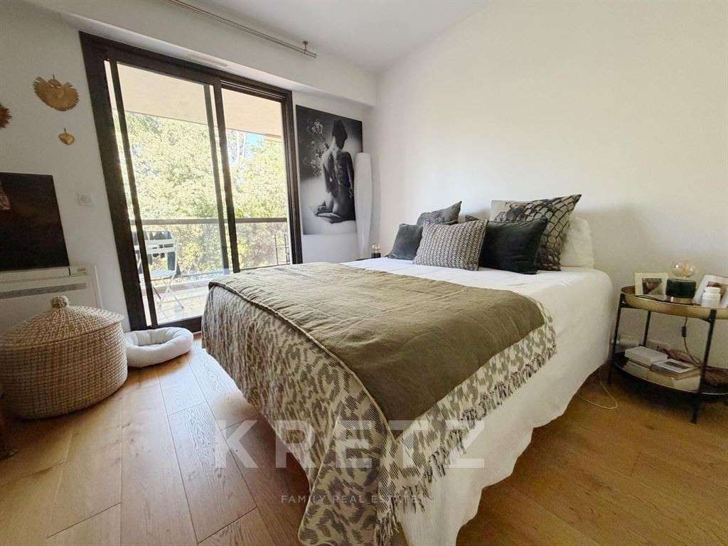 Apartment Cannes