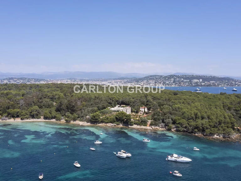 Holidays Castle with Sea view Cannes - 12 bedrooms