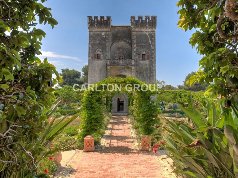 Holidays Castle with Sea view Cannes - 12 bedrooms