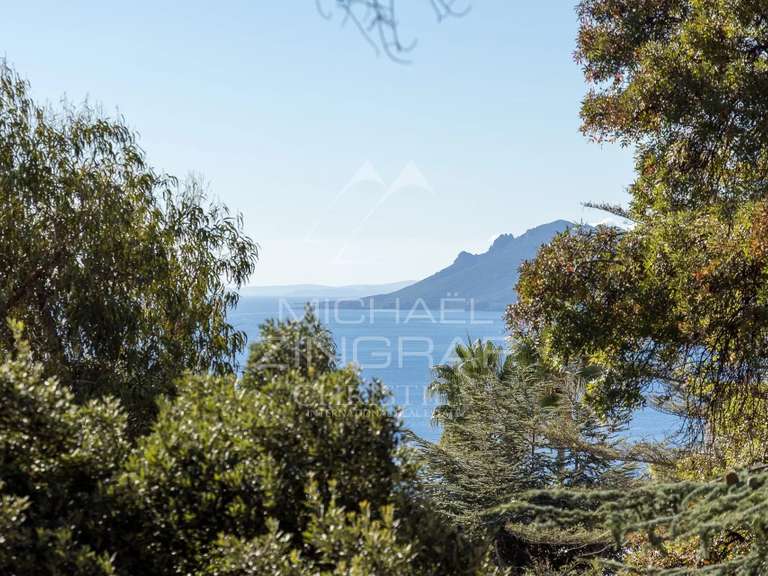House with Sea view Cannes - 5 bedrooms - 397m²