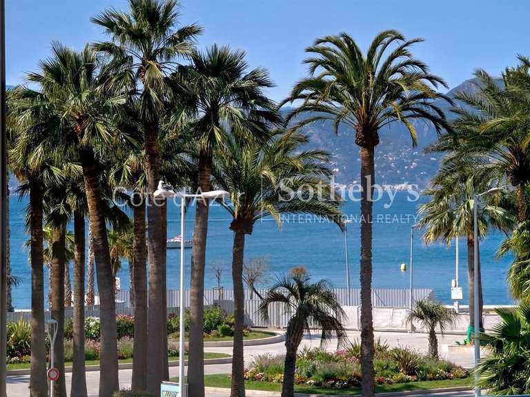 House with Sea view Cannes - 4 bedrooms - 340m²