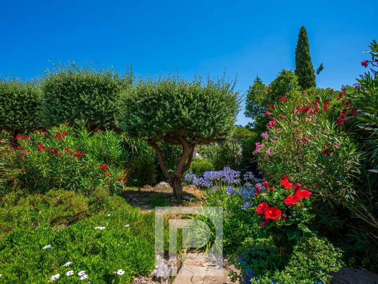 Maison Cannes - 5 chambres - 228m²