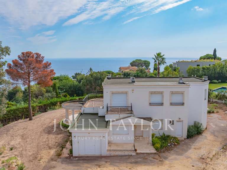 Maison Cannes - 5 chambres - 740m²