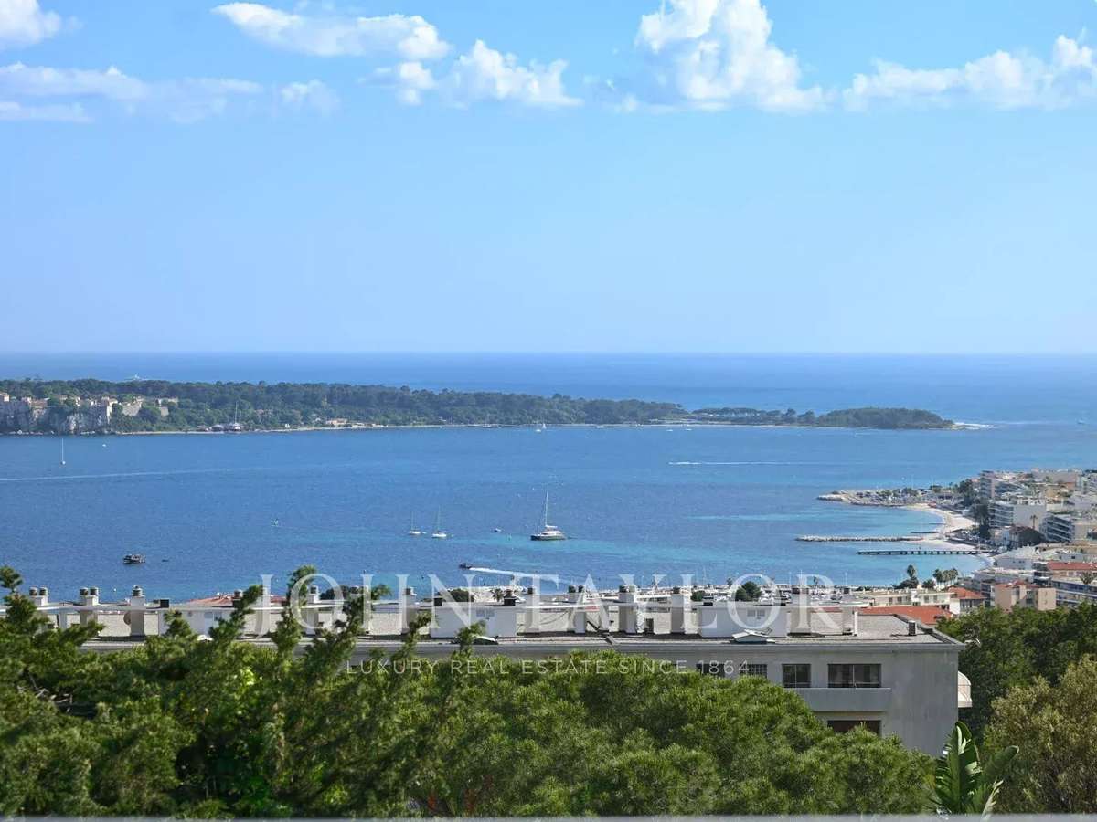 Property Cannes
