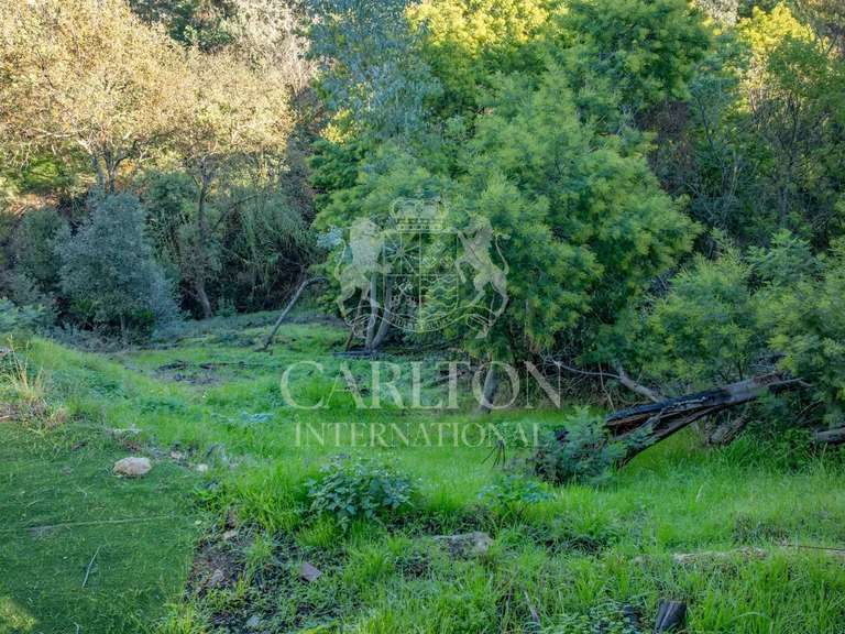 Terrain Cannes - 1879m²