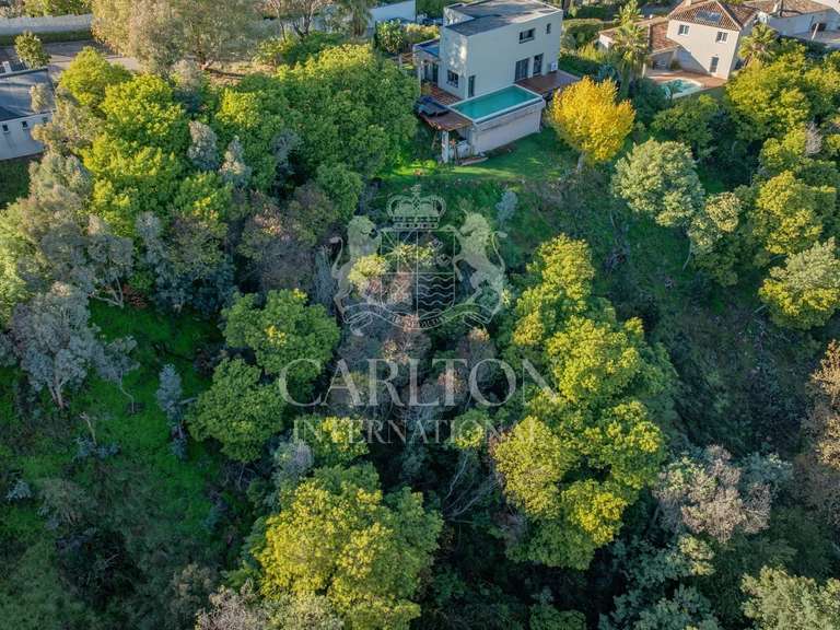 Terrain Cannes - 1879m²
