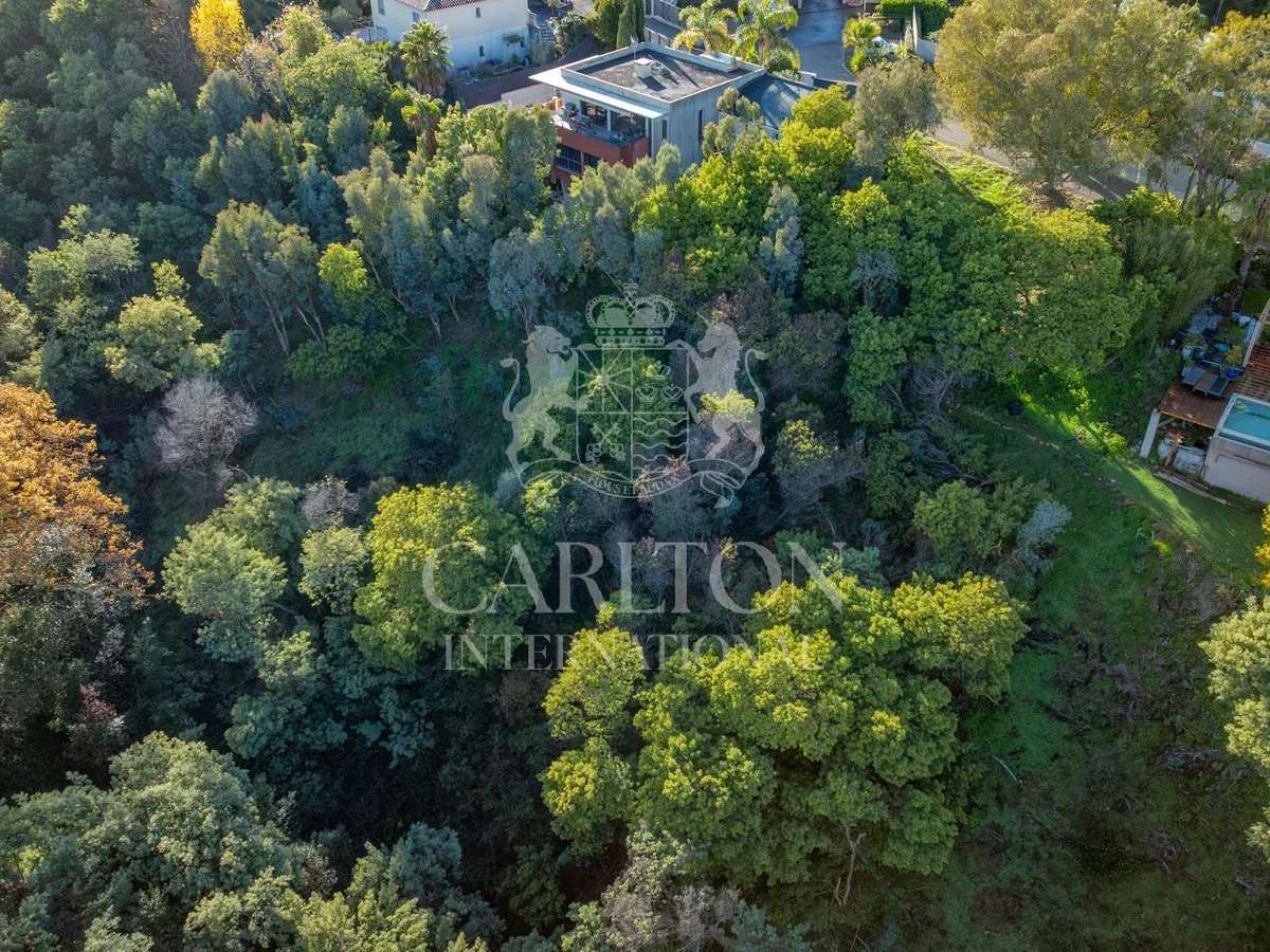 Terrain Cannes