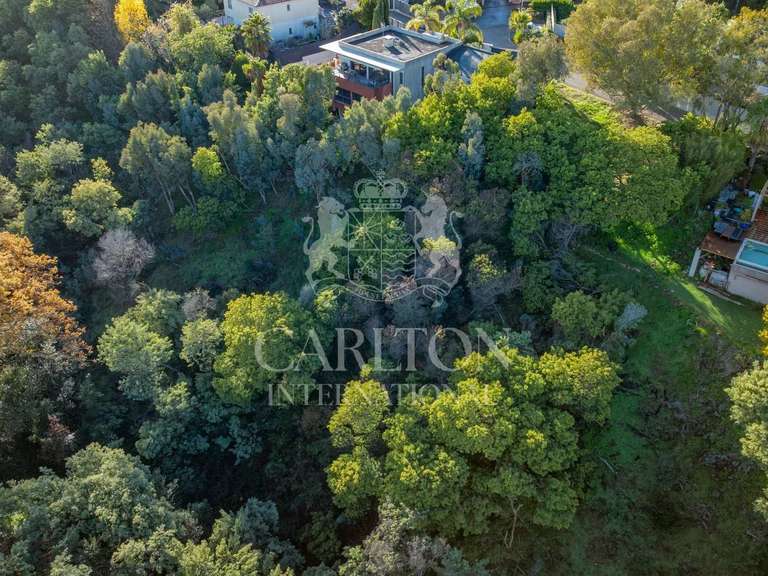 Terrain Cannes - 1879m²