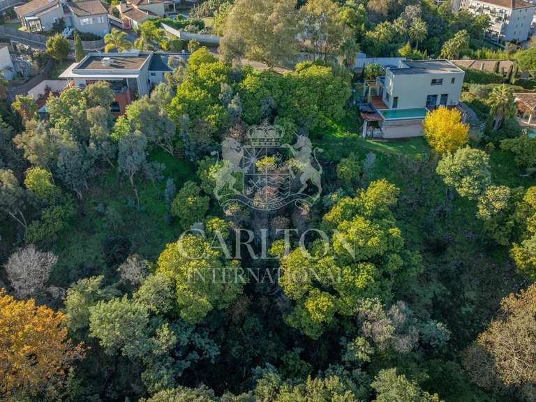 Terrain Cannes - 1879m²