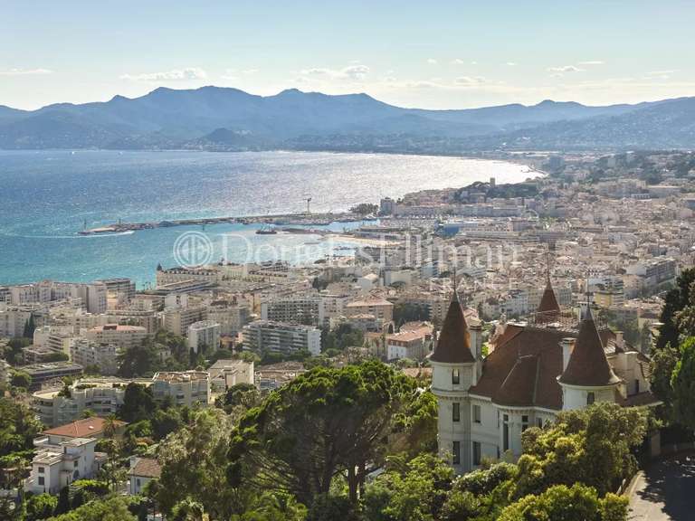 Villa Cannes - 8 chambres - 735m²
