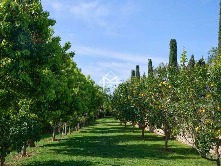 Villa Cannes - 5 chambres - 633m²